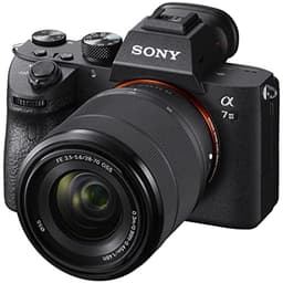 Sony Alpha A6600 Mirrorless